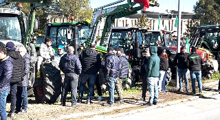 Protesta dei trattori nelle Marche, agricoltori in corteo a Pesaro e Porto San Giorgio